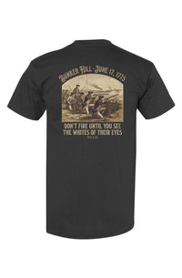 Bunker Hill 1775 The Whites of Their Eyes &mdash; view 2
