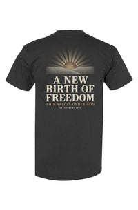 A New Birth of Freedom Gettysburg 1863 &mdash; view 2