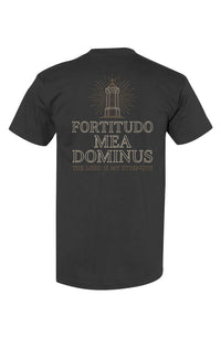 Fortitudo Mea Dominus The Lord Is My Strength &mdash; view 2